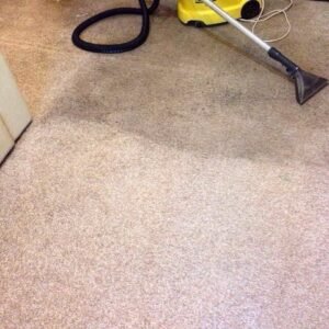 carpetik-cleaning-1