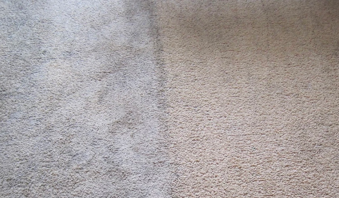 carpetik-cleaning-2