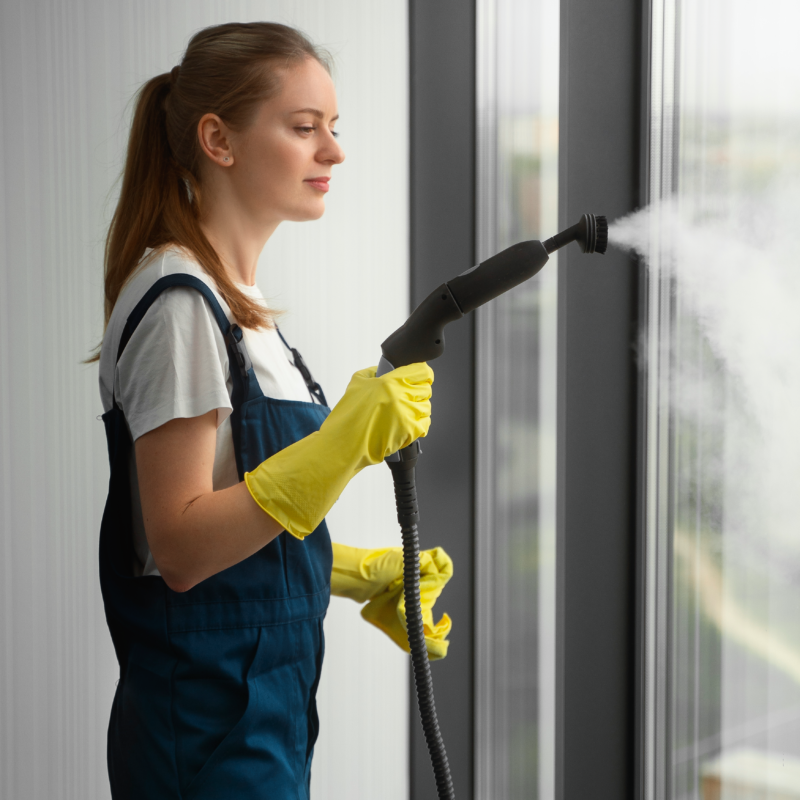 windows-cleaning-3